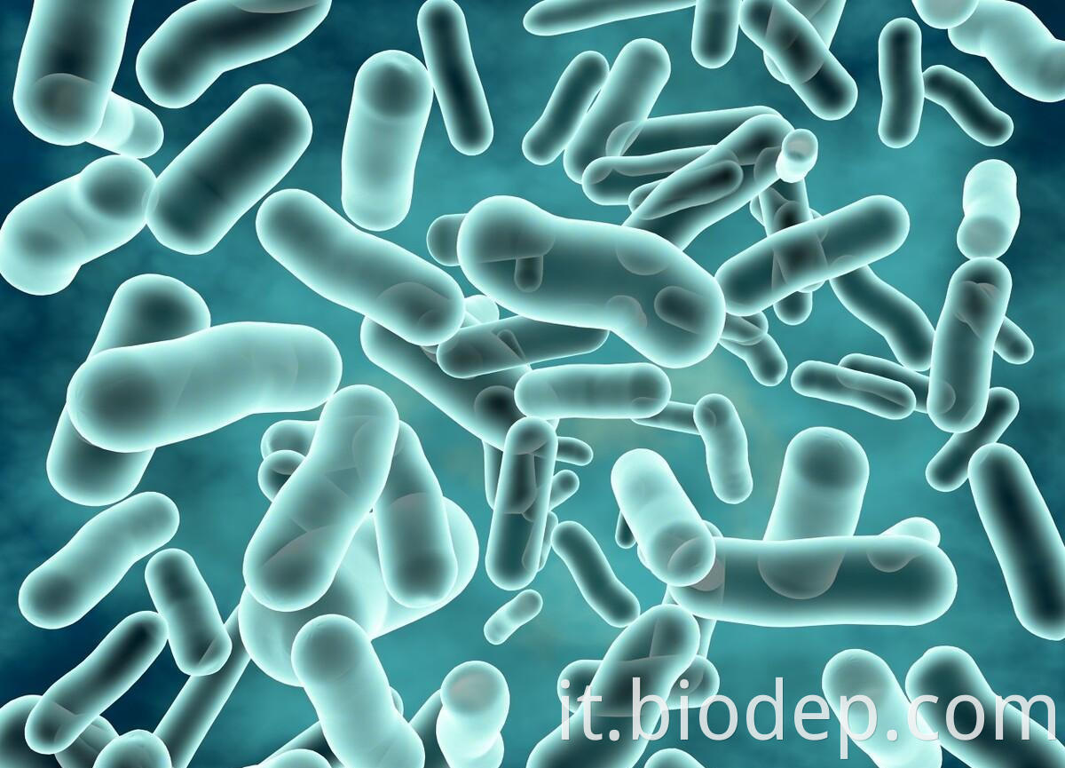 probiotic